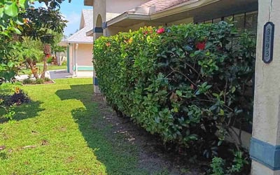 Photo of Nick K.'s yard after getting landscaping in Cocoa Beach, FL