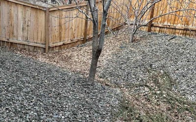Photo of Cheryl L.'s yard after getting landscaping in Sparks, NV