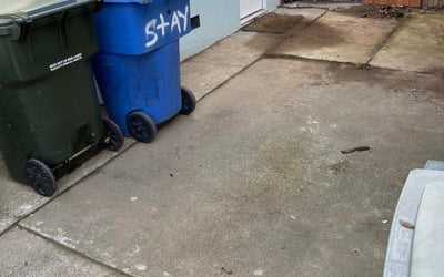 Photo of John J.'s yard after getting landscaping in Newcastle, CA