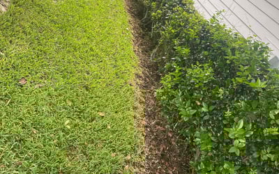 Photo of Leah M.'s yard after getting lawn care in Saint Johns, FL