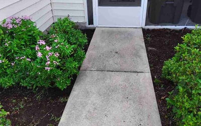 Photo of Shaneka J.'s yard after getting tree care in Clermont, FL