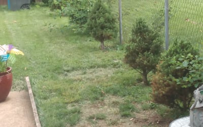 Photo of Steven H.'s yard after getting landscaping in O Fallon, MO