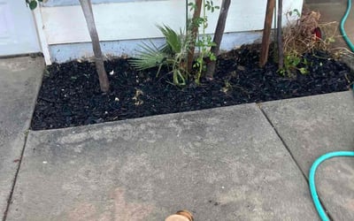 Photo of Cherie H.'s yard after getting landscaping in Canyon Country, CA