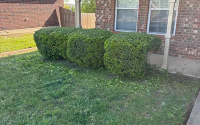 Photo of James R.'s yard after getting landscaping in Crowley, TX