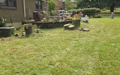 Photo of Calvin A.'s yard after getting tree care in Erlanger, KY