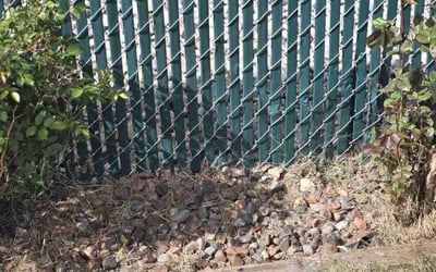 Photo of Susan P.'s yard after getting landscaping in Greenacres, WA
