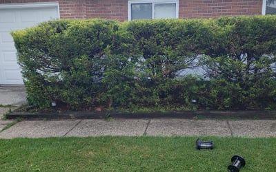 Photo of Eric O.'s yard after getting landscaping in Marlton, NJ