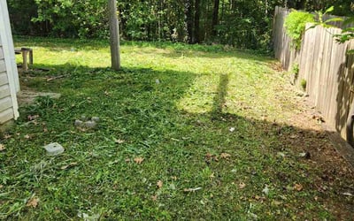Photo of Jack B.'s yard after getting landscaping in Loganville, GA