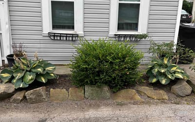 Photo of Emily M.'s yard after getting landscaping in Independence, OH