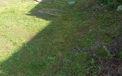 Photo of Chris G.'s yard after getting landscaping in Camas, WA