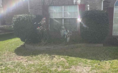 Photo of David G.'s yard after getting tree care in Kenner, LA