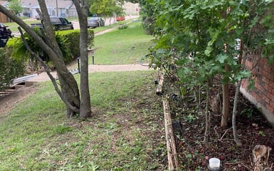 Photo of Lisa W.'s yard after getting landscaping in Dallas, TX