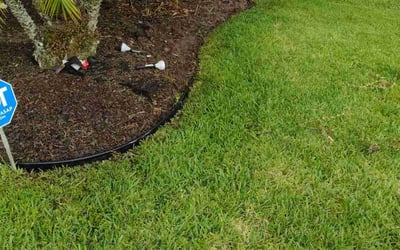 Photo of Cris P.'s yard after getting landscaping in Altoona, FL