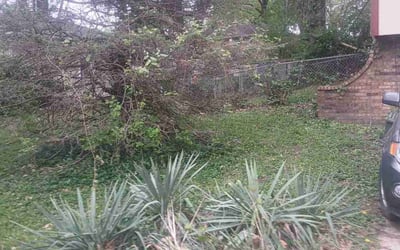 Photo of Karen D.'s yard after getting landscaping in Blue Springs, MO