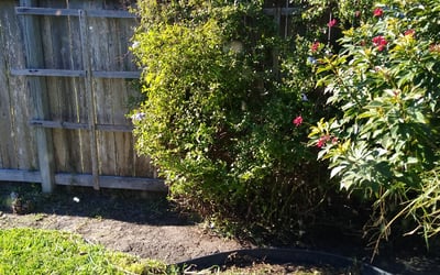 Photo of Ebony G.'s yard after getting landscaping in Rockport, TX