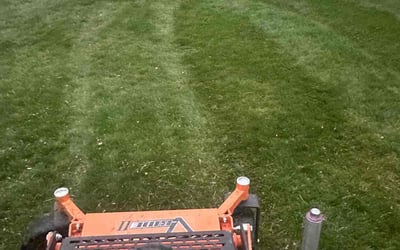 Photo of William C.'s yard after getting landscaping in Union, NJ