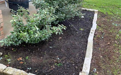 Photo of Alma R.'s yard after getting tree care in Mesquite, TX