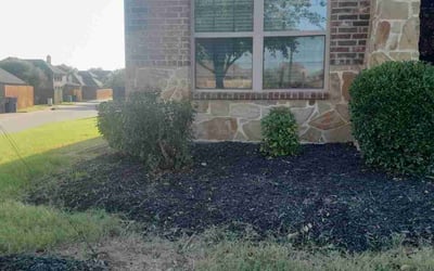 Photo of Amber D.'s yard after getting tree care in Red Oak, TX