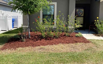 Photo of Lawrence C.'s yard after getting landscaping in Nobleton, FL