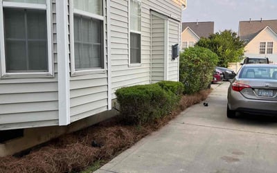 Photo of Sarah M.'s yard after getting landscaping in Richburg, SC