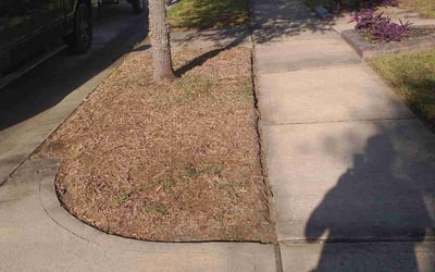 Photo of Tiffany H.'s yard after getting landscaping in Brazoria, TX