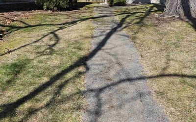 Photo of Margie M.'s yard after getting lawn care in North Dartmouth, MA