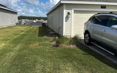 Photo of Lawrence D.'s yard after getting landscaping in Mount Dora, FL