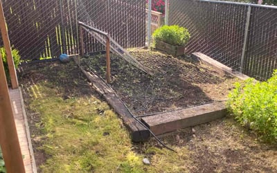 Photo of Michael L.'s yard after getting landscaping in Woodburn, OR