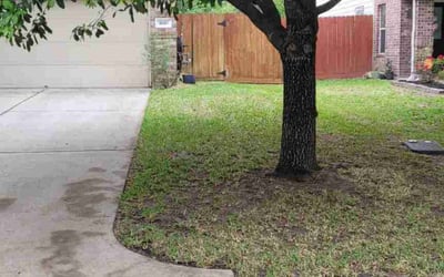 Photo of Michael C.'s yard after getting landscaping in Conroe, TX