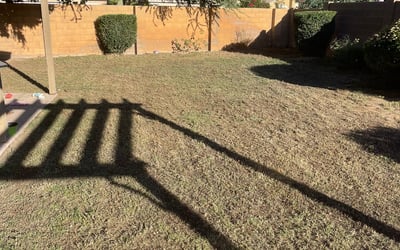 Photo of Ravi G.'s yard after getting tree care in Coolidge, AZ