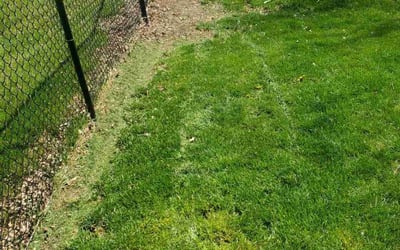 Photo of Tamara S.'s yard after getting landscaping in Cicero, IN