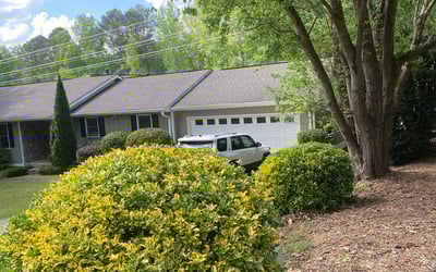 Photo of Lisa D.'s yard after getting landscaping in Statham, GA