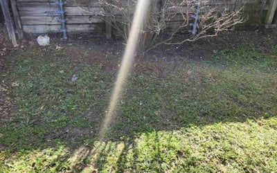 Photo of Amanda H.'s yard after getting landscaping in Bardwell, TX