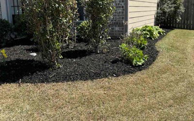 Photo of Cecil B.'s yard after getting landscaping in Cumming, GA