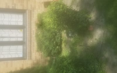 Photo of Nick K.'s yard after getting landscaping in Middlefield, OH