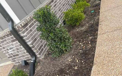 Photo of Kimberly B.'s yard after getting tree care in Cordova, TN