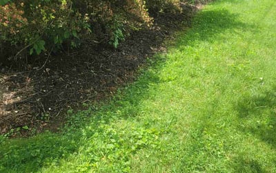 Photo of Nicole U.'s yard after getting landscaping in Hendersonville, NC