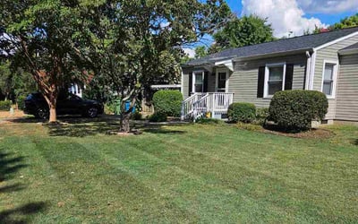 Photo of Mark B.'s yard after getting tree care in Salisbury, NC