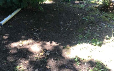 Photo of Ryan B.'s yard after getting landscaping in Mcminnville, OR