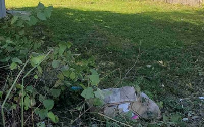 Photo of Josh F.'s yard after getting landscaping in Camby, IN