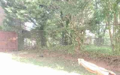 Photo of Rosha P.'s yard after getting landscaping in Hume, VA