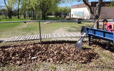 Photo of Jeff H.'s yard after getting landscaping in Red Rock, TX