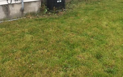 Photo of Patricia H.'s yard after getting landscaping in Dousman, WI