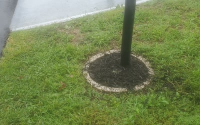 Photo of Jennifer A.'s yard after getting tree care in Haines City, FL