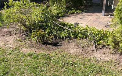 Photo of Megan G.'s yard after getting landscaping in Clayton, IN