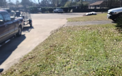 Photo of Jennifer C.'s yard after getting landscaping in Poquoson, VA