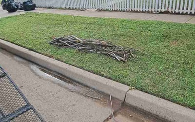 Photo of Nancy S.'s yard after getting landscaping in Wichita, KS