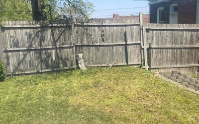 Photo of Deborah W.'s yard after getting landscaping in Valley Park, MO