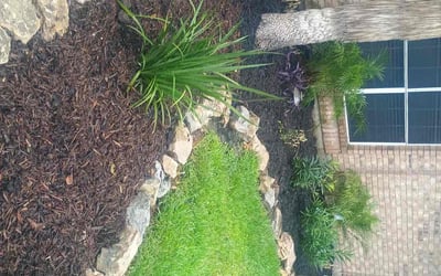 Photo of Raymond B.'s yard after getting tree care in Manor, TX