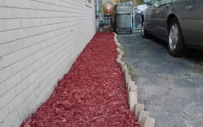 Photo of James C.'s yard after getting landscaping in Nashville, IN